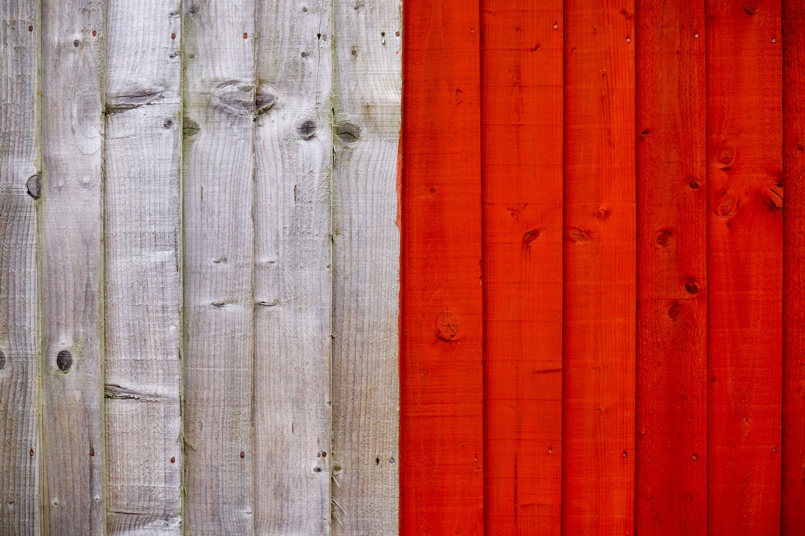 White Timber Fence Painting